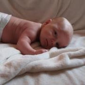 Shawn McDonald Flaar's photo