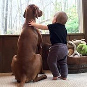 Steve Giandalia's photo