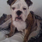 Pam Bratton's photo