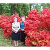 Phyllis Stearnes's photo