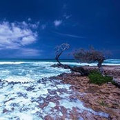 Michael Pope's photo