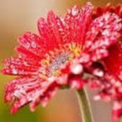 Beth Gittess's photo