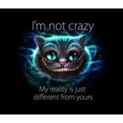 Donna Higson's photo