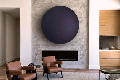 Example of a minimalist living room design in Phoenix