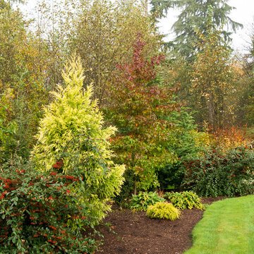 Great Design Plants
