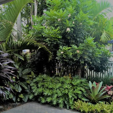 Queensland Residentials