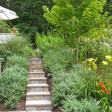GP Landscape Design