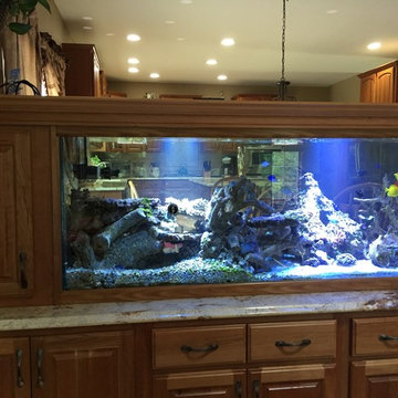 Fish Tank