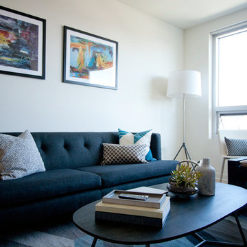 Mission Bay Apartment