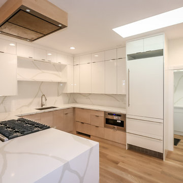 Salt Lake City, UT Modello Blanco Slab Kitchen