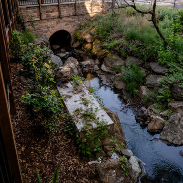 Overlook of Creekside with Stabilizing Plants and Bridge