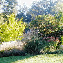 front porch - back patio - foliage