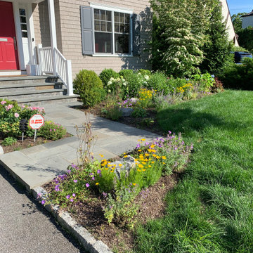 Low-Mow Lawn & Landscape Renovation