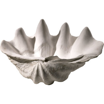 Clam Shell Bowl