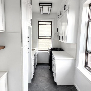 Modern Kitchen in Flushing, NY
