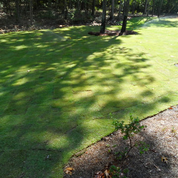 Lindsey Lakeside Drainage & Sod