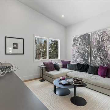 Park Meadows Remodel