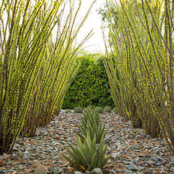 Residential Contemporary - Paradise Valley - 2013