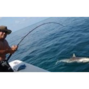 Randy Castricone's photo
