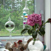 Cheryl Newcomb's photo
