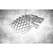 Klaus Northmore's photo