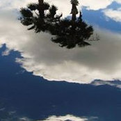Liz Arnold's photo