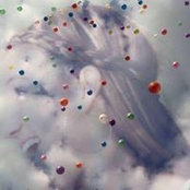 Lisa Stern's photo