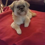Doris Hobbs's photo