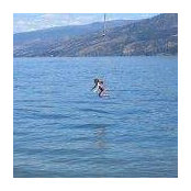 Marnie Douglas's photo
