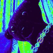 Foto di Teddas Bear