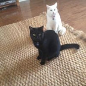 Jamie Baum's photo