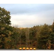 Laura Meyer's photo