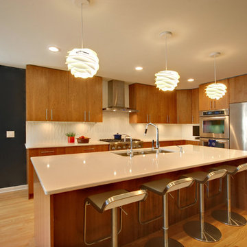 East Grand Rapids Whole House Remodel
