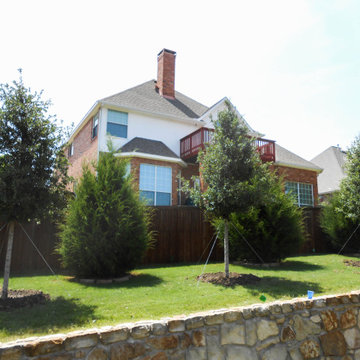 Evergreen Trees & Shrubs