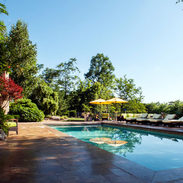 Backyard Patio & Pool Renovation, Bar, Fire & Water Features