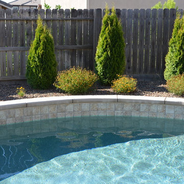 Blank Canvas to Beautiful Backyard