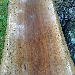 Live Edge Natural Slab - Walnut Bench with Bronzed Base - Furniture
