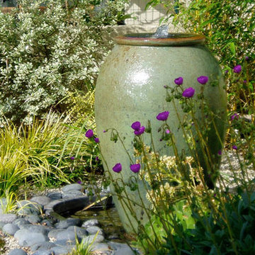 Drought-tolerant Mediterranean