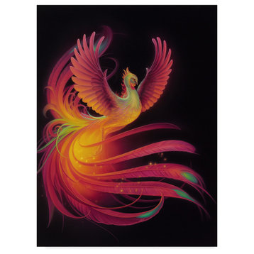 Kirk Reinert 'Phoenix' Canvas Art, 32"x24"
