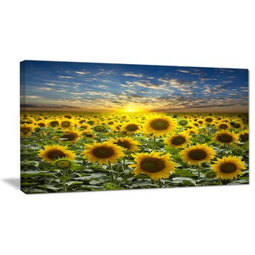 "Field of Blooming Sunflowers" Large Flower Canvas Wall Art, 32"x16"