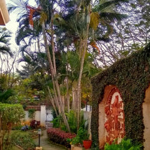 Outdoors, Garden