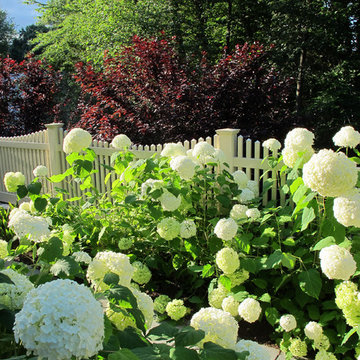 Plant Ideas & Colorful Combinations