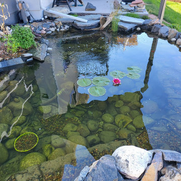 Custom✨ Koi Pond