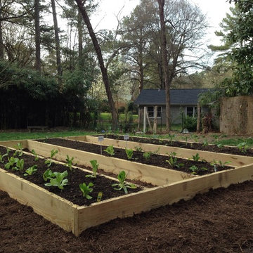 Raised bed vegetable gardens