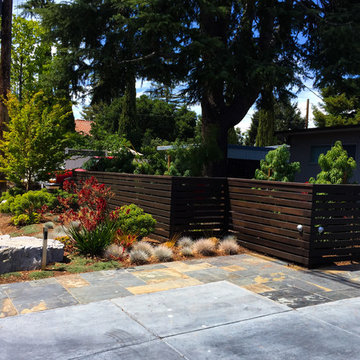 Master Suite Privacy: A Front Yard Transformed