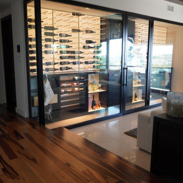Modern Glass Enclosure for Wine Room