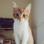 Harriet Powell-Hall's photo