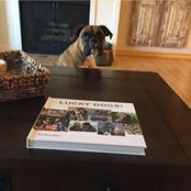 Marian Stephan's photo