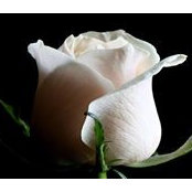 Jenny Carranza's photo