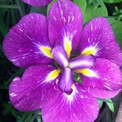Alison Keeling's photo